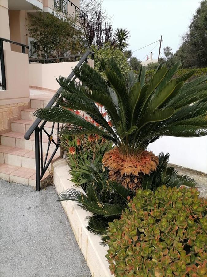 Kydoni Apartments And Studios Agia Marina 외부 사진