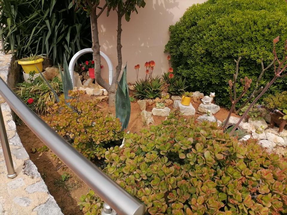 Kydoni Apartments And Studios Agia Marina 외부 사진